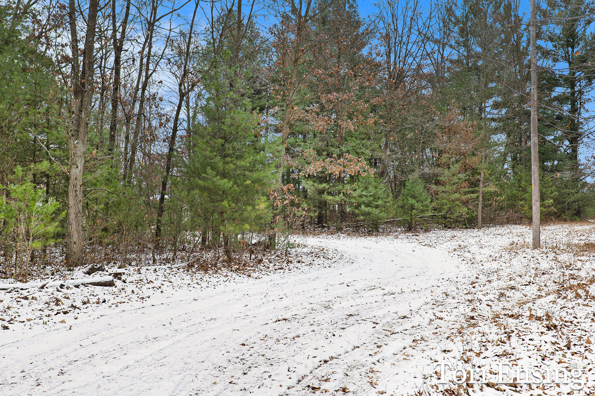 V/l South Johnson Road Greenville, MI 48838 - Photo 11 of 17 johnson-07