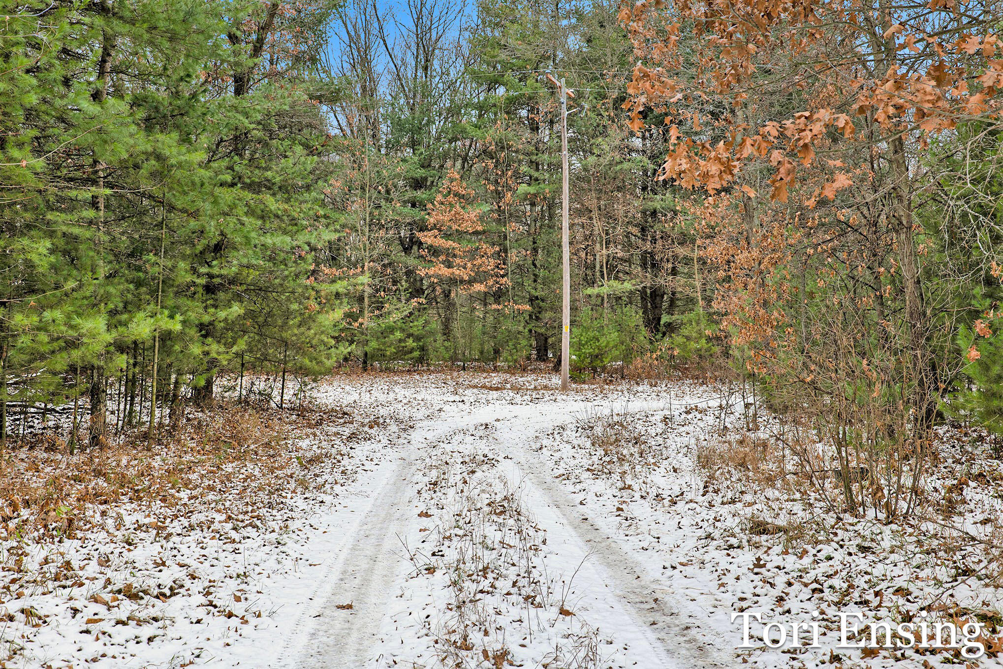 V/l South Johnson Road Greenville, MI 48838 - Photo 14 of 17 johnson-10
