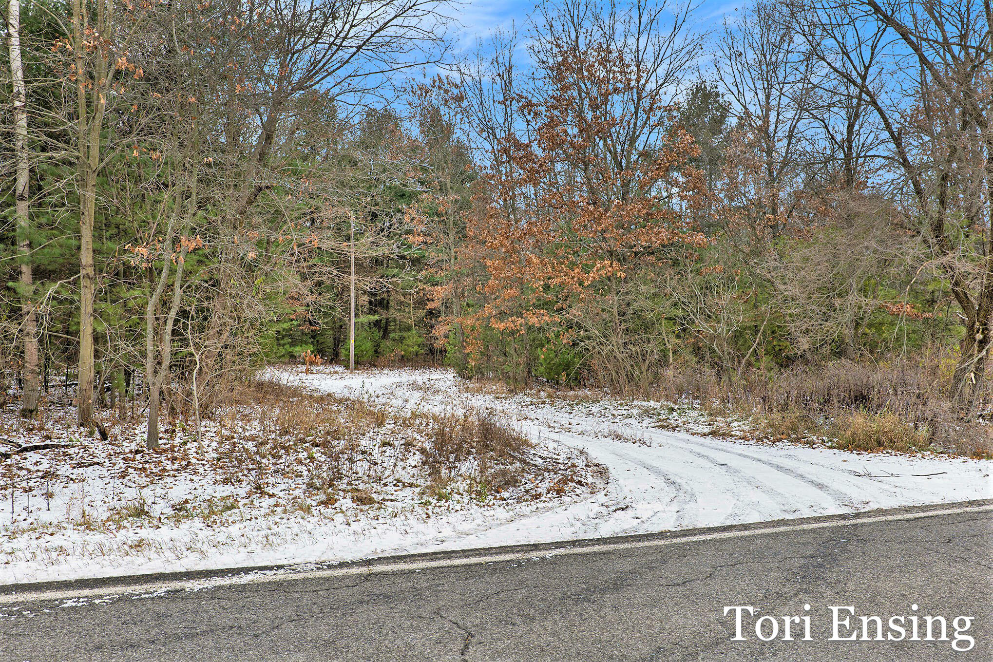 V/l South Johnson Road Greenville, MI 48838 - Photo 15 of 17 johnson-11