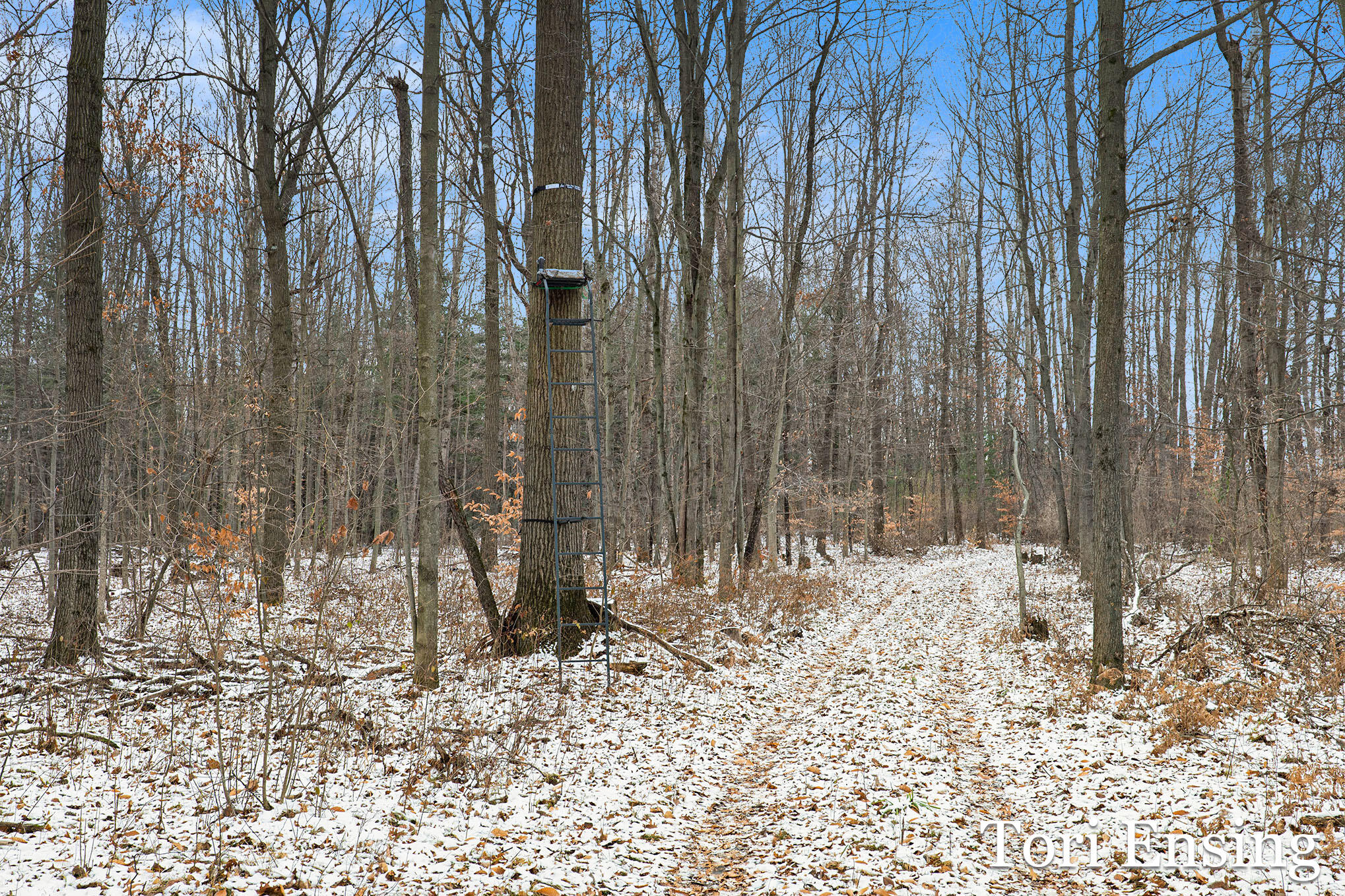 V/l South Johnson Road Greenville, MI 48838 - Photo 5 of 17 johnson-01