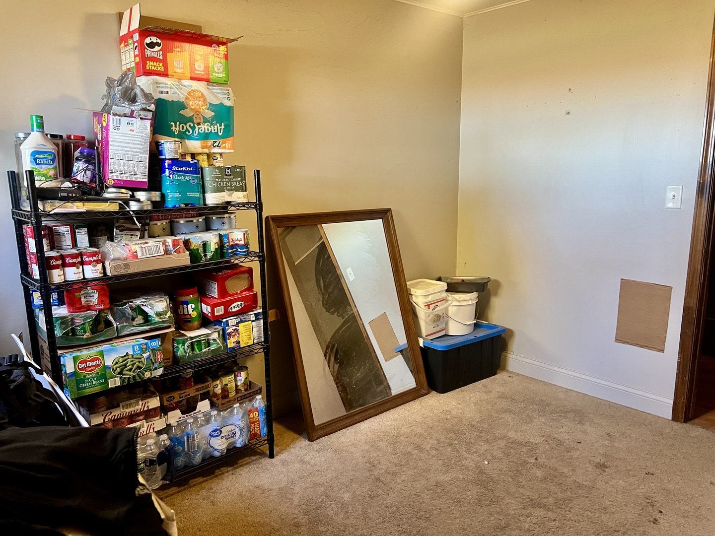 2175 Old Police Park Road St. Joseph, IL 61873 - Photo 12 of 22