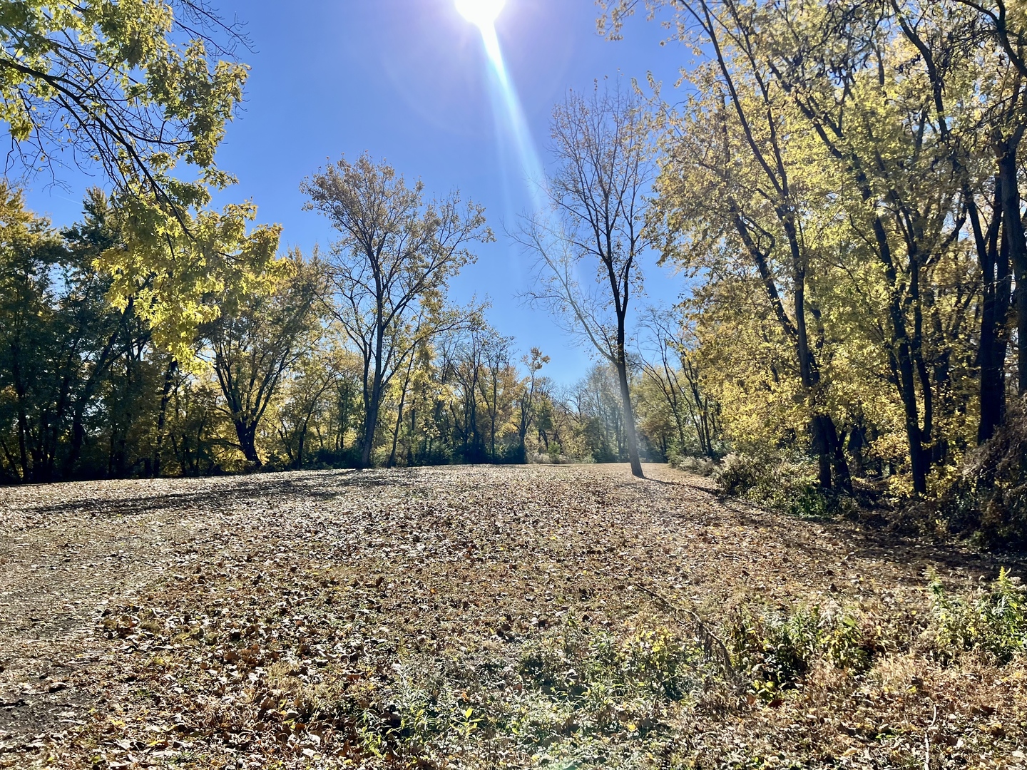 2175 Old Police Park Road St. Joseph, IL 61873 - Photo 17 of 22