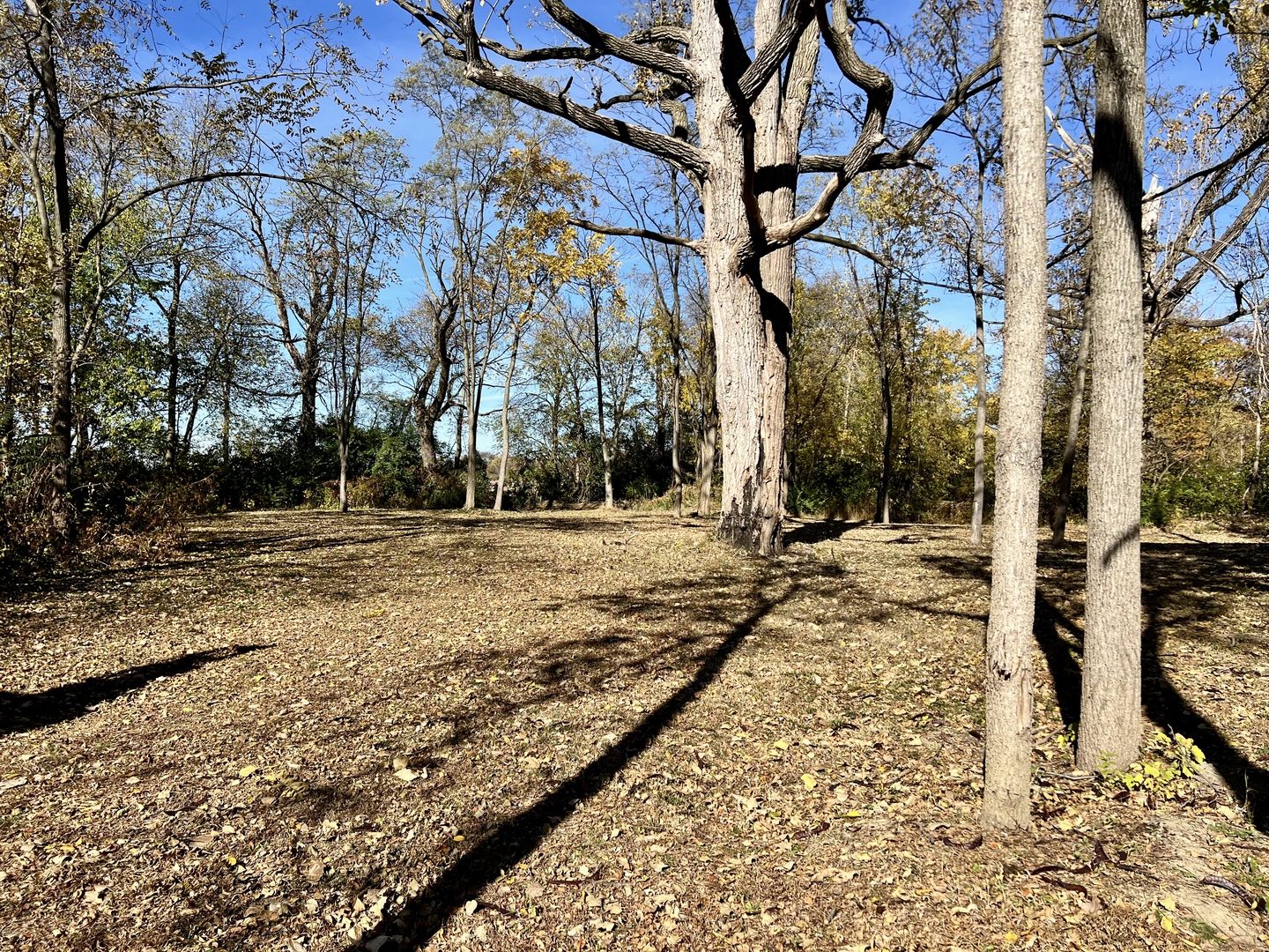 2175 Old Police Park Road St. Joseph, IL 61873 - Photo 20 of 22