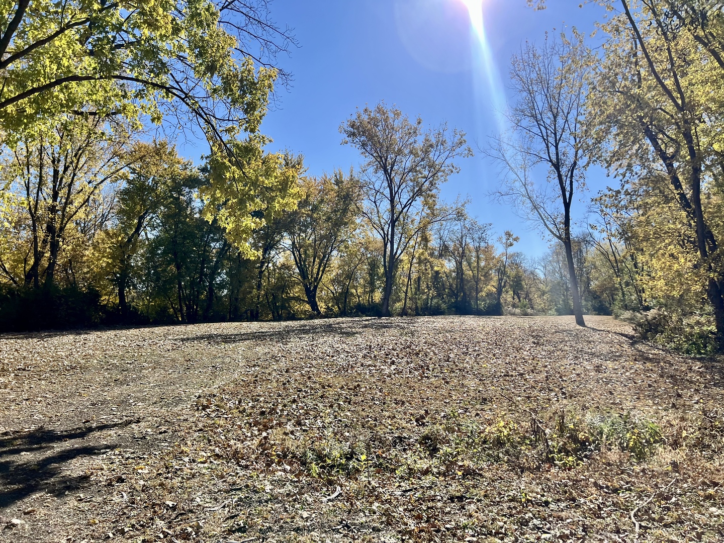 2175 Old Police Park Road St. Joseph, IL 61873 - Photo 2 of 22