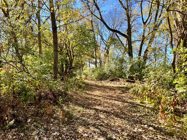 $240,000 | 2175 Old Police Park Road, St. Joseph, IL 61873