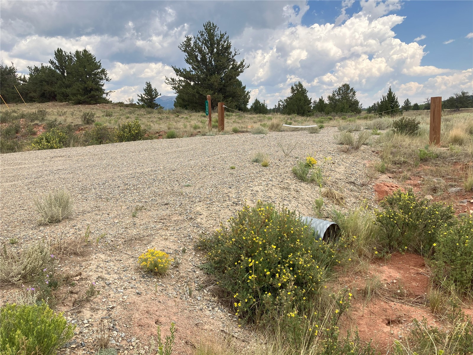 1344 Silver Heels Road Fairplay, CO 80440 - Photo 19 of 35