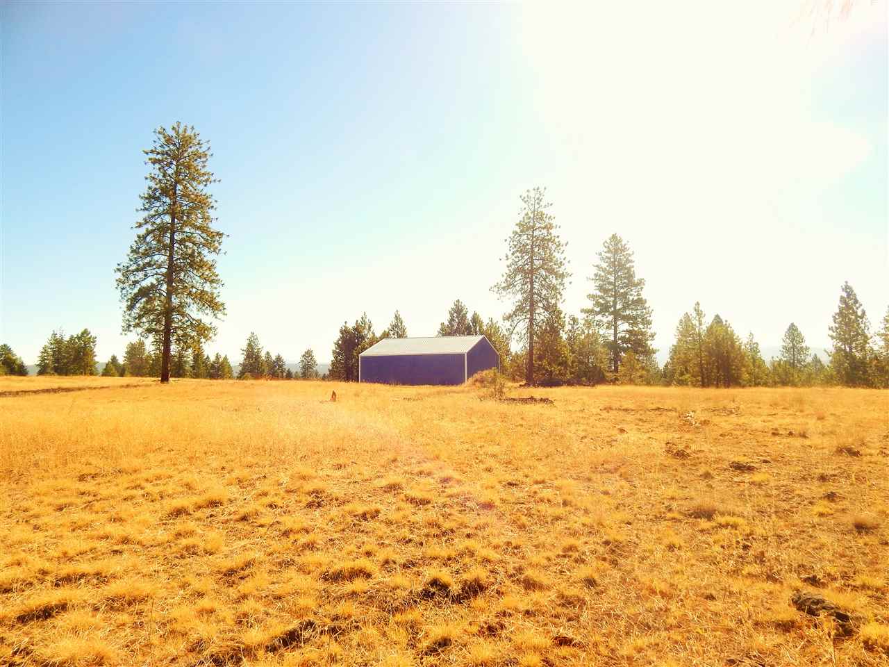 27900 North Perry Road Chattaroy, WA 99003 - Photo 12 of 20 Gallery Image 12
