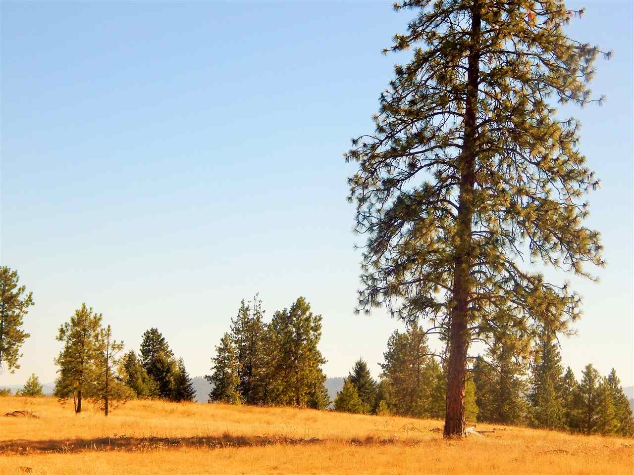 27900 North Perry Road Chattaroy, WA 99003 - Photo 6 of 20 Gallery Image 6