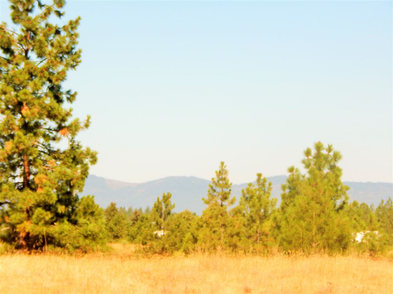 27900 North Perry Road Chattaroy, WA 99003 - Photo 7 of 20 Gallery Image 7