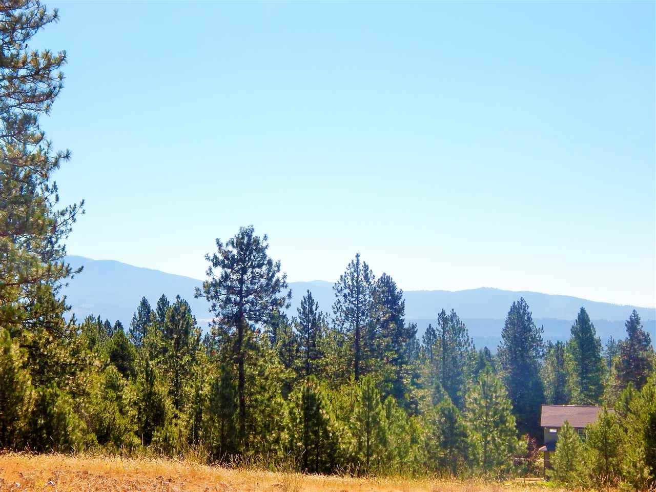 27900 North Perry Road Chattaroy, WA 99003 - Photo 8 of 20 Gallery Image 8