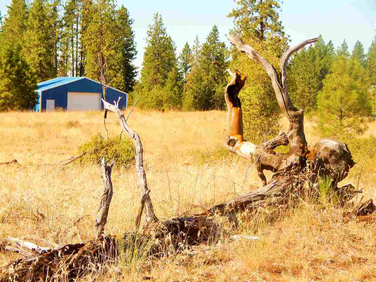 27900 North Perry Road Chattaroy, WA 99003 - Photo 10 of 20 Gallery Image 10