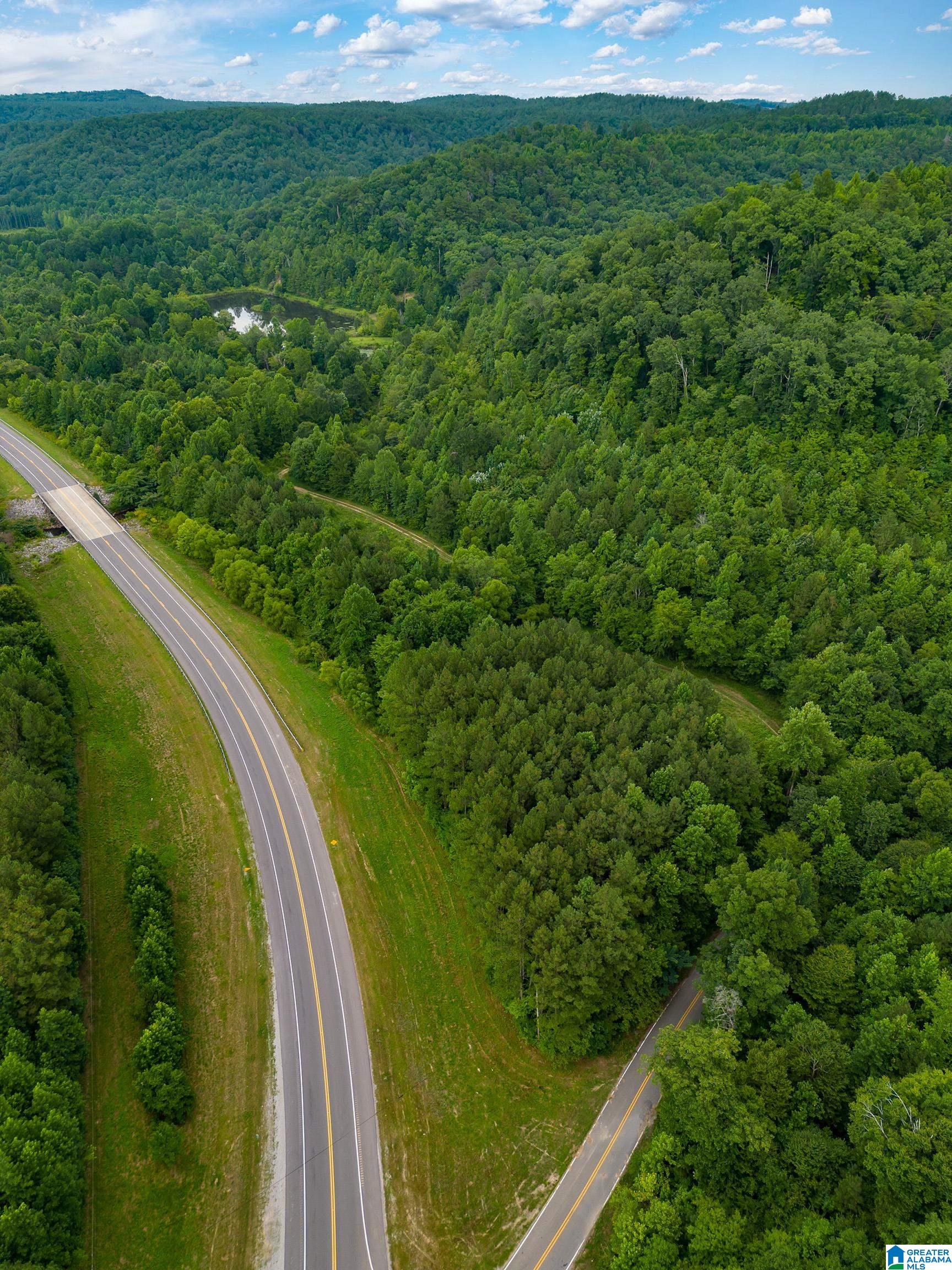 81 Frozen Hollow Road, Unit 32 Carbon Hill, AL 35549 - Photo 24 of 42