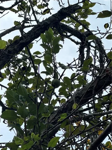 $195,000 | 707 Norwood Lane, Hearne, TX 77859