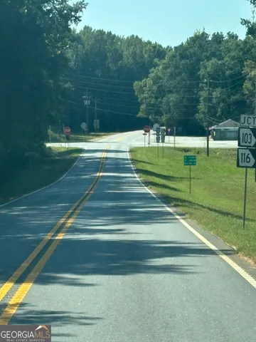 a view of a park with large trees