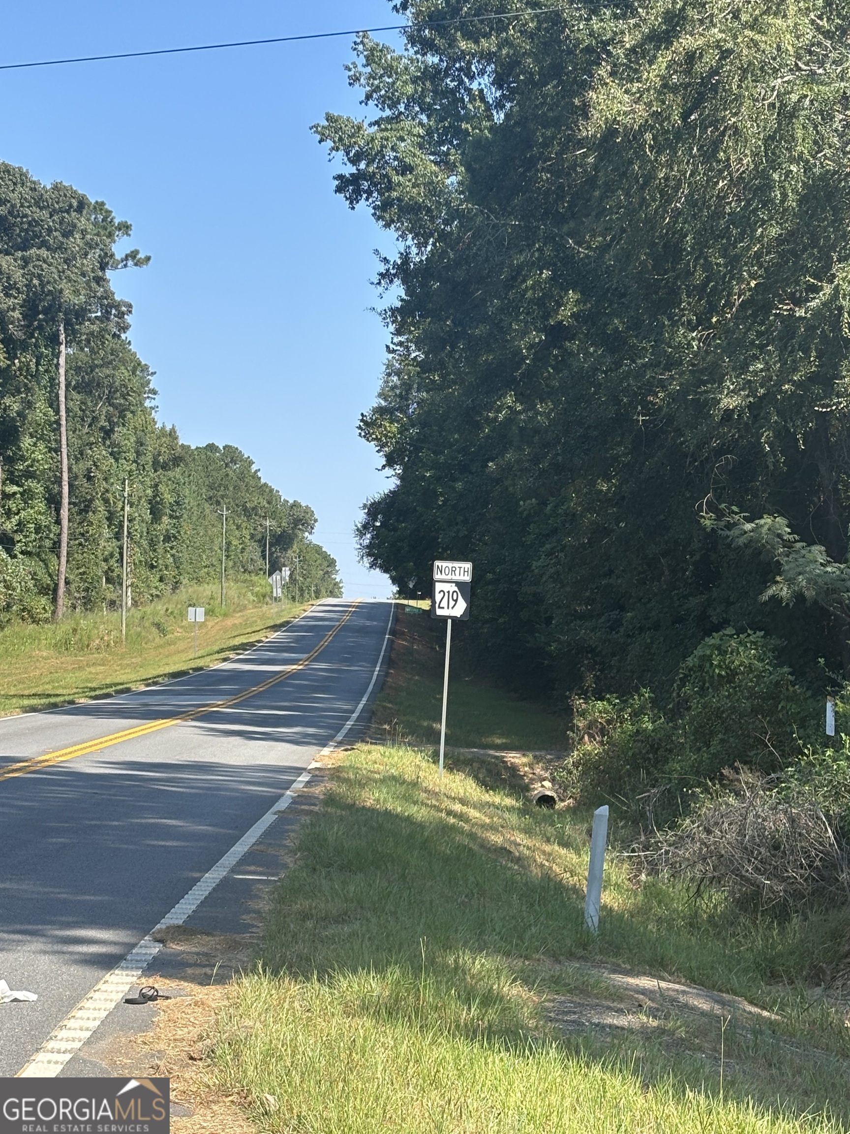 0 Ga Highway 0116 West Point, GA 31833 - Photo 3 of 6 a view of a park with large trees