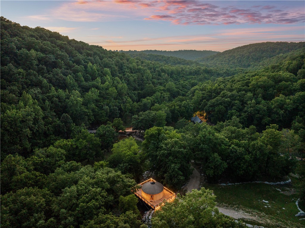 3931 Zack Road Marshall, AR 72650 - Photo 36 of 56 Aerial view of a heavily wooded area