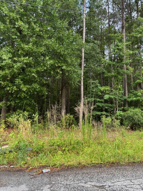 230 Wilson Street Sumter, SC 29150 - Photo 2 of 4 Gallery Image 2