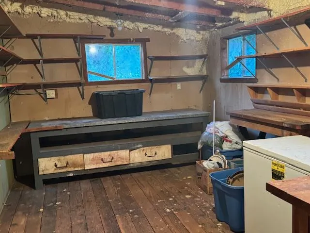 a view of a backyard with plants and a fountain