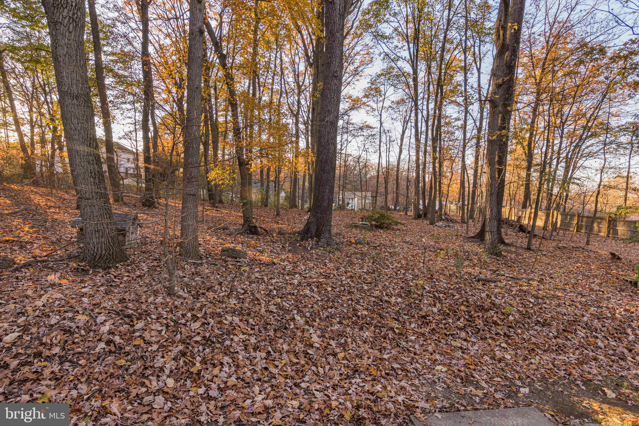 7816 Faulkner Road Severn, MD 21144 - Photo 5 of 14