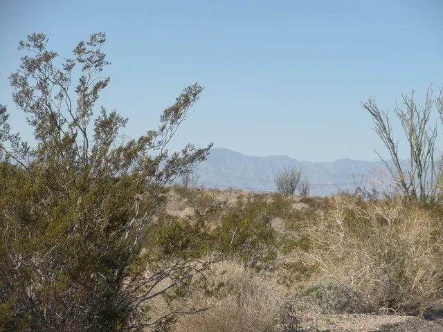 a view of mountain view with lots of trees