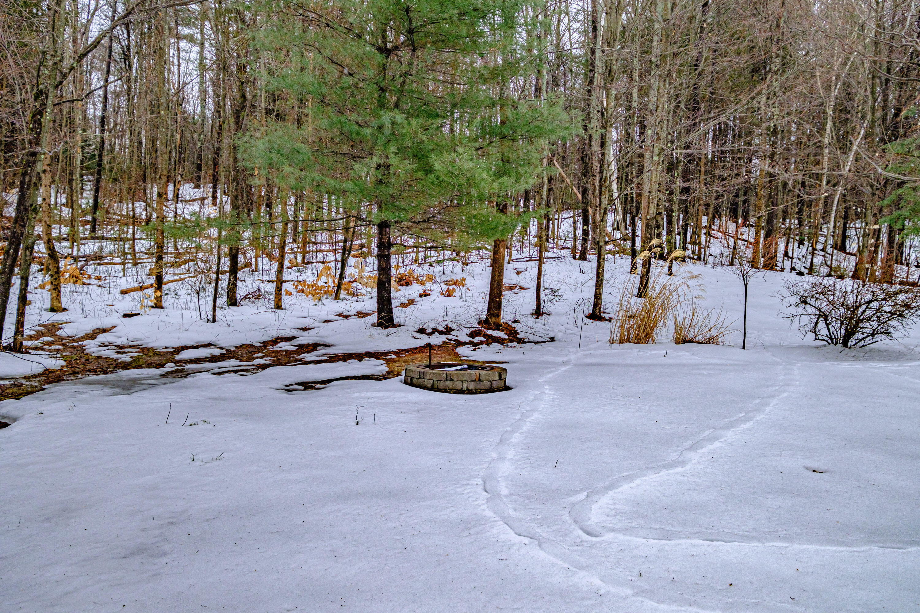 427 East Hardscrabble Road Auburn, ME 04210 - Photo 50 of 53 20240329gp-60060