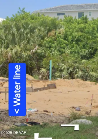 a view of a tree in a yard