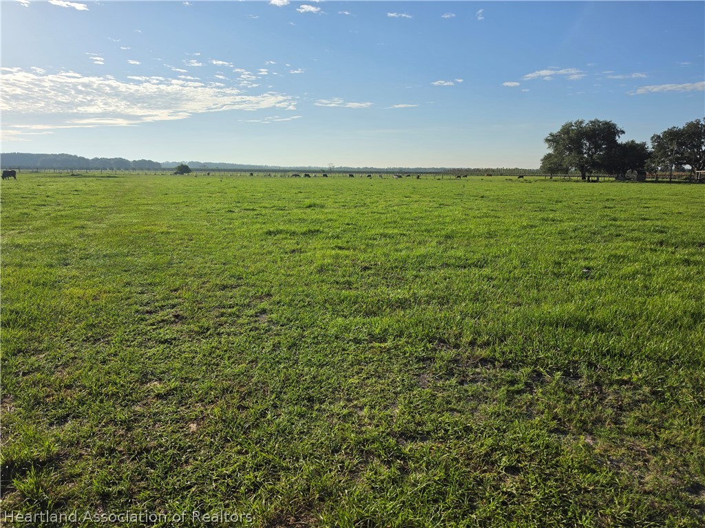0 West Bereah Road Fort Meade, FL 33841 - Photo 8 of 12