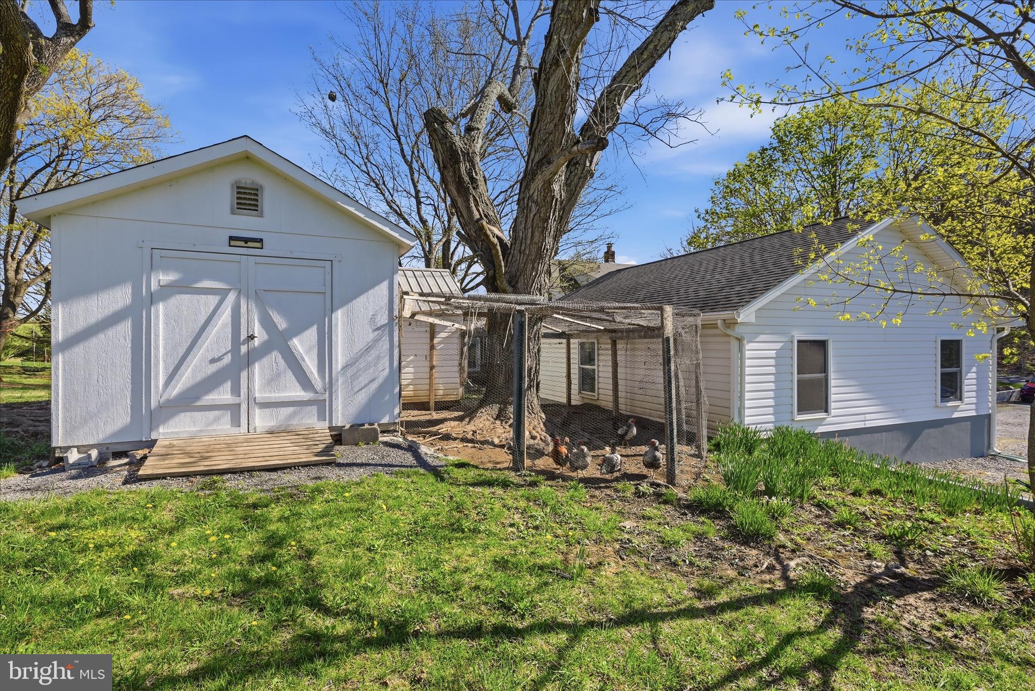 1239 Cedar Grove Road Winchester, VA 22603 - Photo 58 of 82 Chicken coup and run