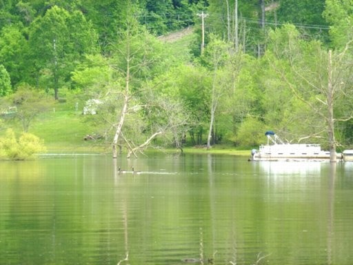 123 Ernie Roberts Road Rutledge, TN 37861 - Photo 22 of 32 Gallery Image 22