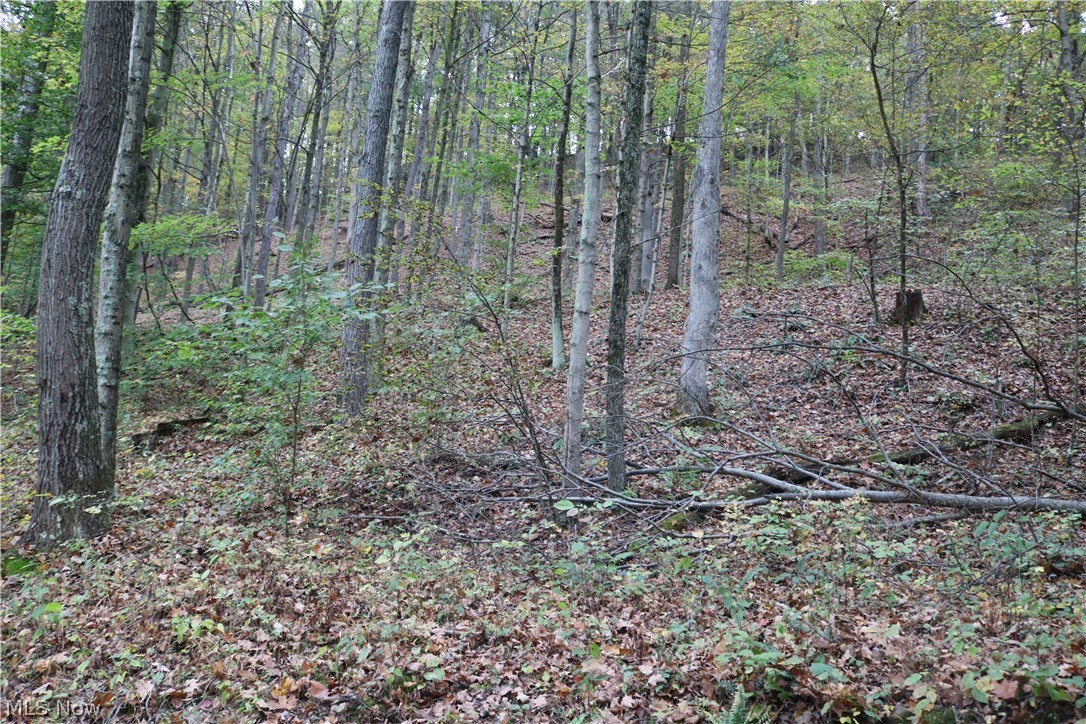 2115 Goss Fork Road Whipple, OH 45788 - Photo 11 of 32 Gallery Image 11