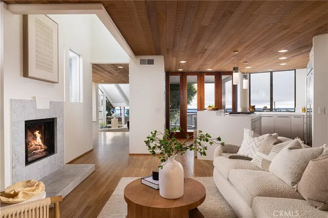 a living room with furniture potted plant and a fireplace