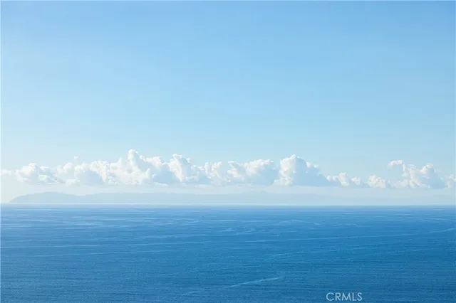 a palm tree sitting in front of a house with a small yard