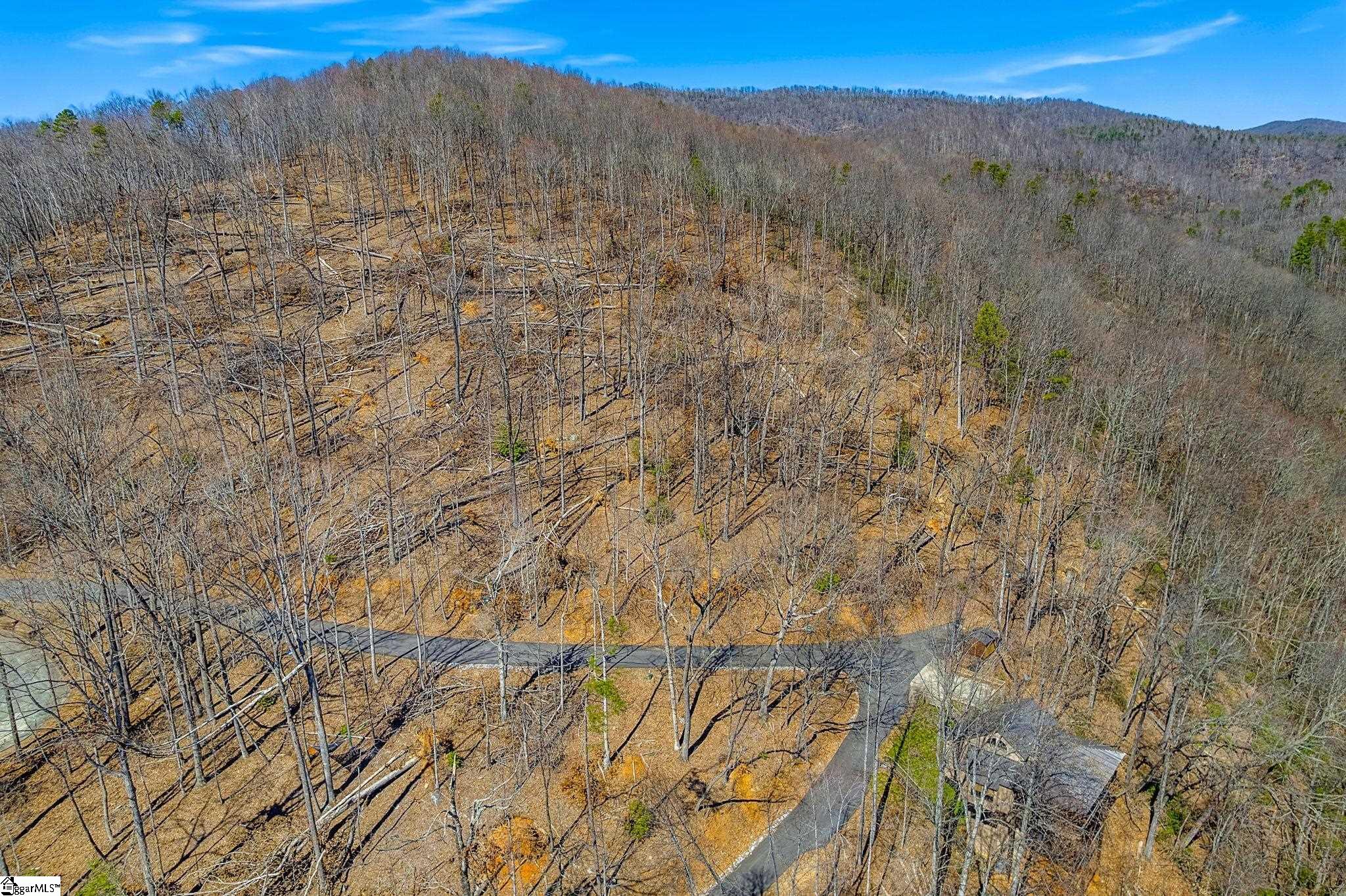 821 Whispering Falls Road Pickens, SC 29671 - Photo 4 of 14