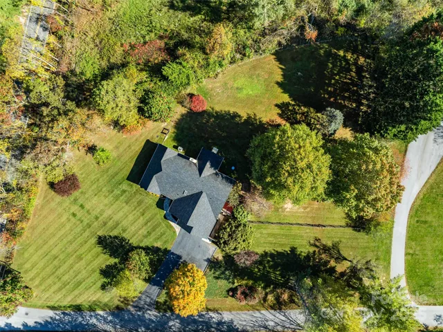 a view of a forest with a lake