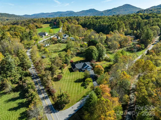 a view of a garden with mountains in the background