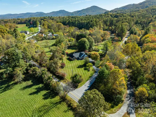 a view of a forest with a street