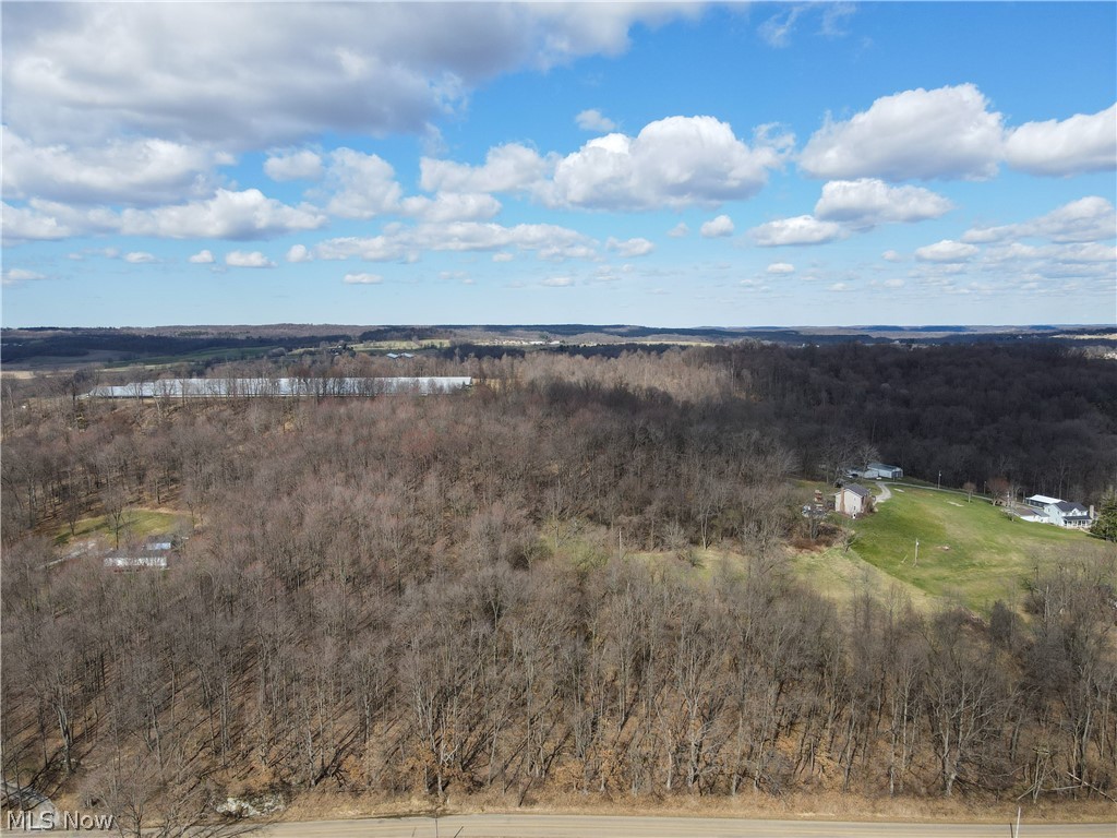Walnut Creek Bottom Road Northwest Dundee, OH 44624 - Photo 3 of 21 Gallery Image 3