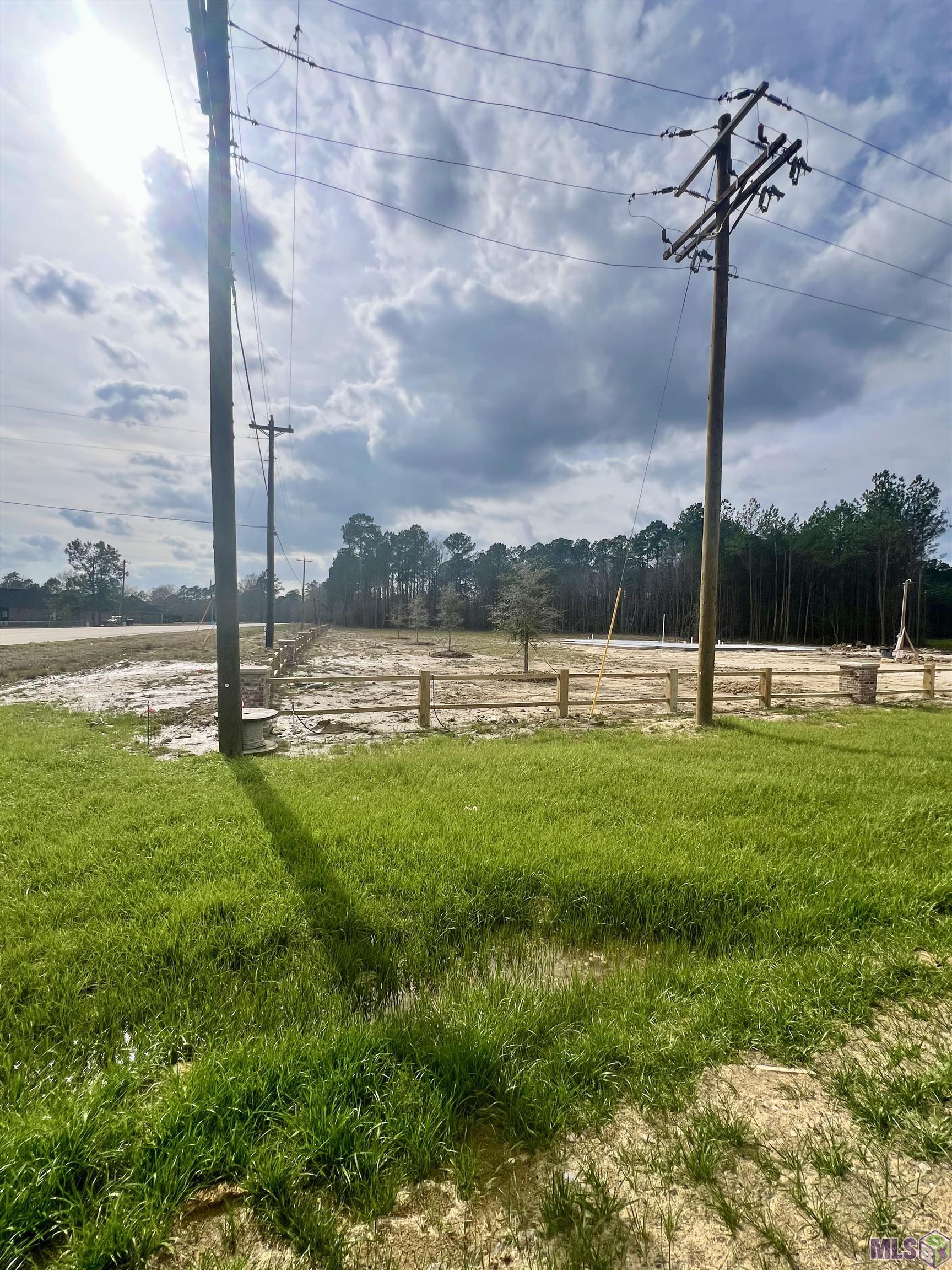 Lot 33 Copper Pass Livingston, LA 70754 - Photo 3 of 17