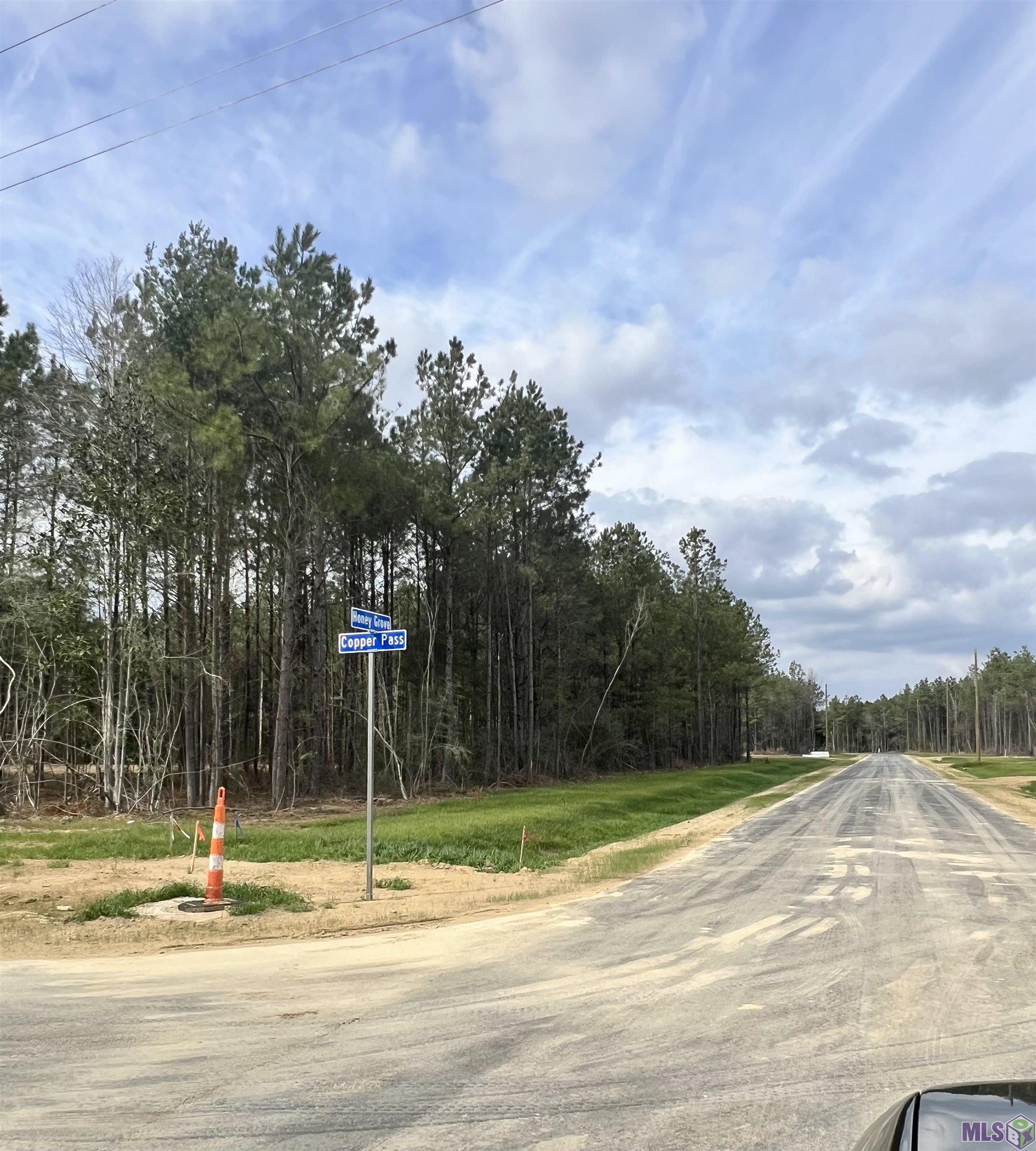 Lot 33 Copper Pass Livingston, LA 70754 - Photo 6 of 17
