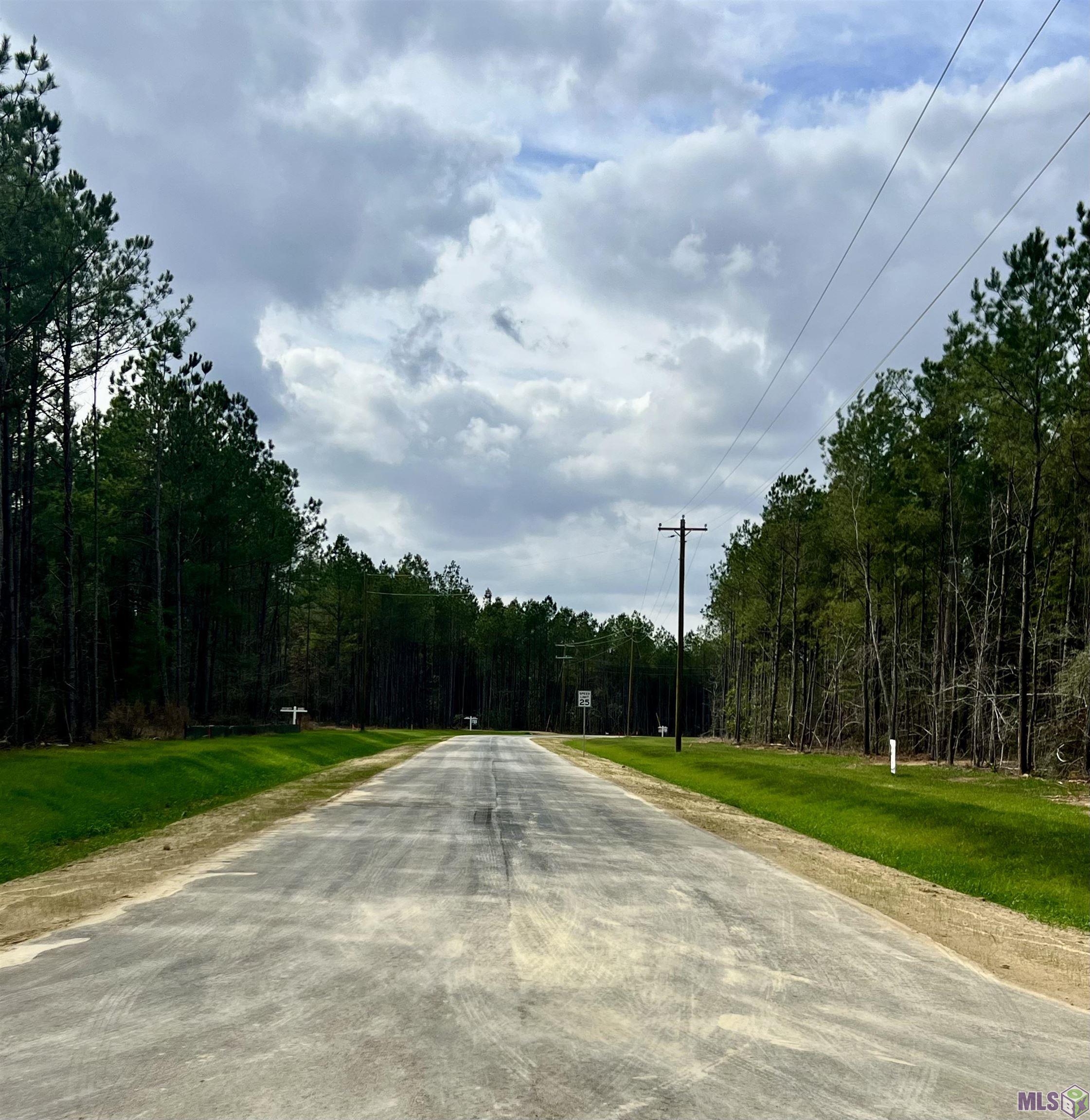 Lot 33 Copper Pass Livingston, LA 70754 - Photo 7 of 17