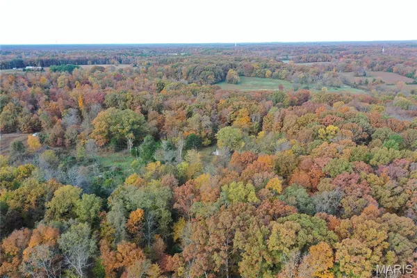 $89,000 | 4 Bobwhite Lane, Fairdealing, MO 63939