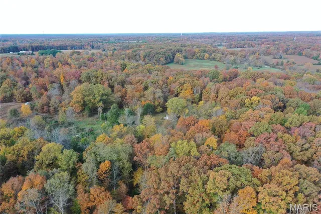 $89,000 | 4 Bobwhite Lane, Fairdealing, MO 63939