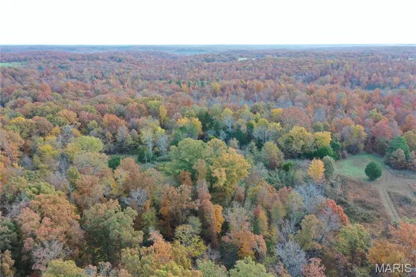 $89,000 | 4 Bobwhite Lane, Fairdealing, MO 63939