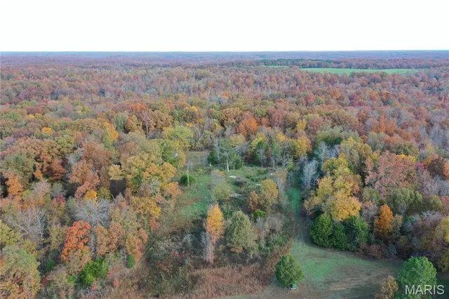 $89,000 | 4 Bobwhite Lane, Fairdealing, MO 63939