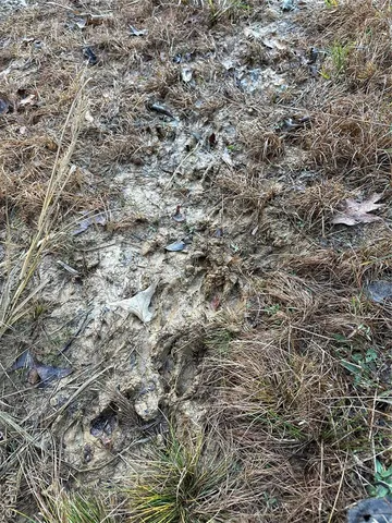 $89,000 | 4 Bobwhite Lane, Fairdealing, MO 63939