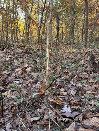 $89,000 | 4 Bobwhite Lane, Fairdealing, MO 63939