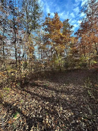 $89,000 | 4 Bobwhite Lane, Fairdealing, MO 63939