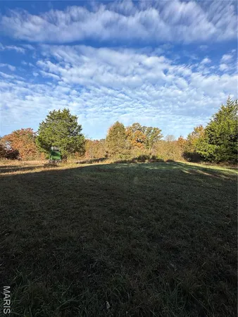 $89,000 | 4 Bobwhite Lane, Fairdealing, MO 63939