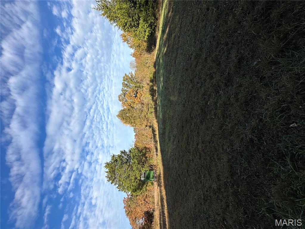 4 Bobwhite Lane Fairdealing, MO 63939 - Photo 2 of 61