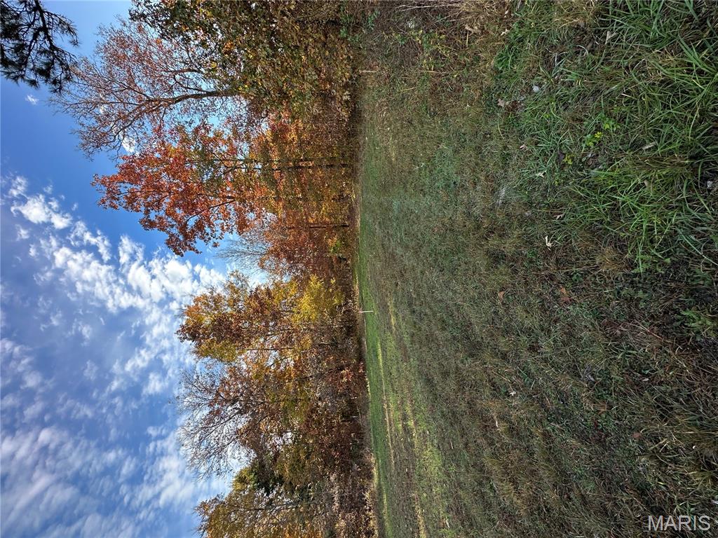 4 Bobwhite Lane Fairdealing, MO 63939 - Photo 22 of 61